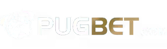 Lvbet login - 365rio
